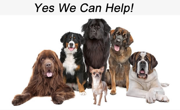 we can help all your dogs Love you love my dog Pet salon